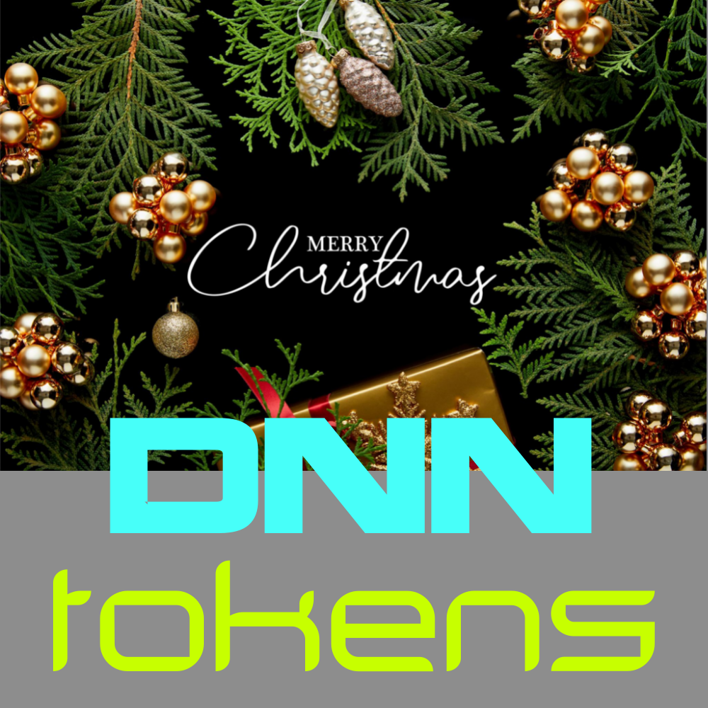 Kerstgeschenk aan de DNN community